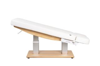 Электрическая массажная кушетка Mizomed MZ 3170 Troch Smart