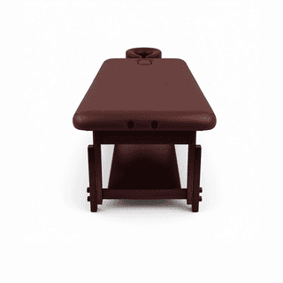 Массажный стационарный стол Mizomed Essence-Flat SEF3S30+H+S, Коричневый с полкой